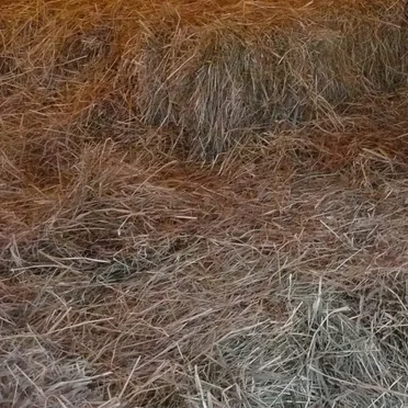 2014 Everything’s Going Along as Usual and Then All Shit Breaks Loose.