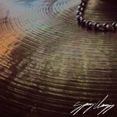 Songs 1 by Spring Cleaning - album cover
