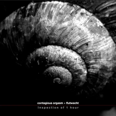 Inspection of 1 Hour