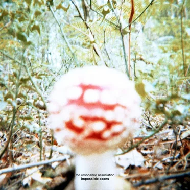 Impossible Aeons by The Resonance Association - album cover