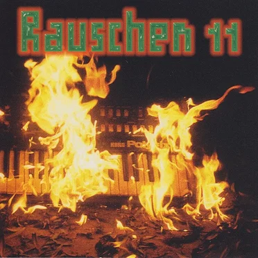 Rauschen 11 by Various Artists - album cover