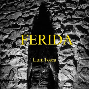 Llum fosca by Ferida - album cover