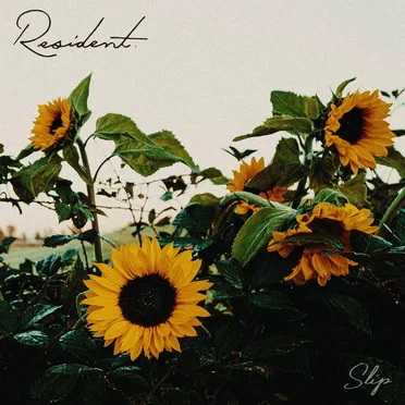 Slip by Resident. - album cover