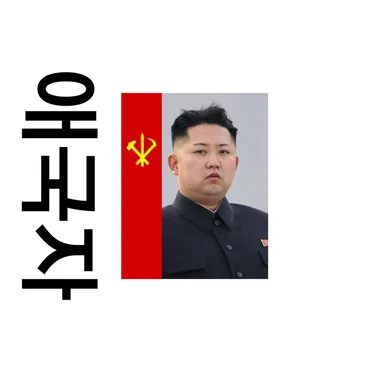 🇰🇵애국자🇰🇵 by Zadig the Jasp - album cover
