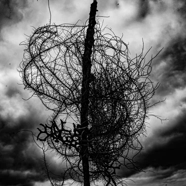 Atrophied Divinity