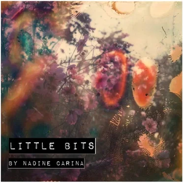 Little Bits