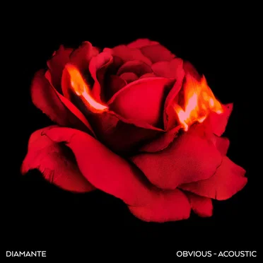 Obvious (acoustic)