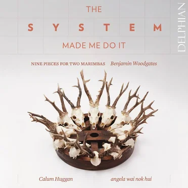 The System Made Me Do It by Benjamin Woodgates - album cover