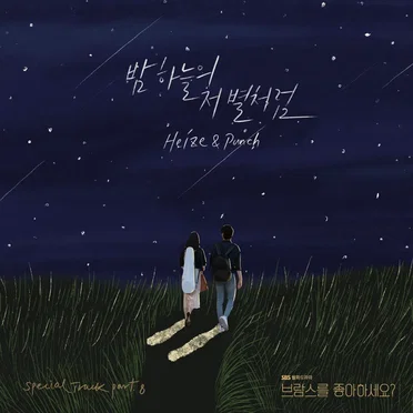 밤하늘의 저 별처럼 (브람스를 좋아하세요? OST 스페셜 트랙)