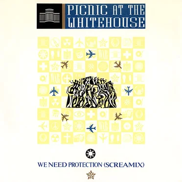 We Need Protection by Picnic at the Whitehouse - album cover