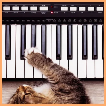 You've Got a Kitty on a Timer by Keep Shelly in Athens - album cover