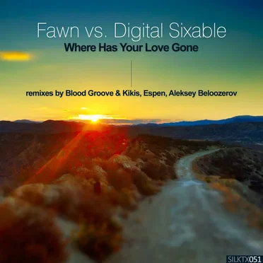 Where Has Your Love Gone (remixes) by Fawn - album cover