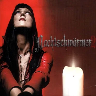 Nachtschwärmer 2 by Various Artists - album cover