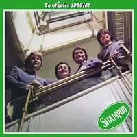 Shampoo artist image