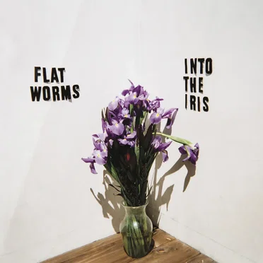 Into the Iris by Flat Worms - album cover