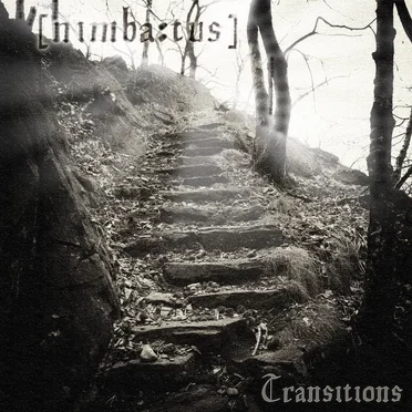 Transitions by Nimbatus - album cover