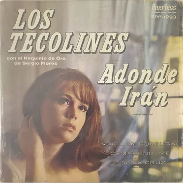 Adónde irán