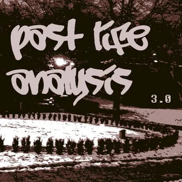 Past Life Analysis 3 by Various Artists - album cover