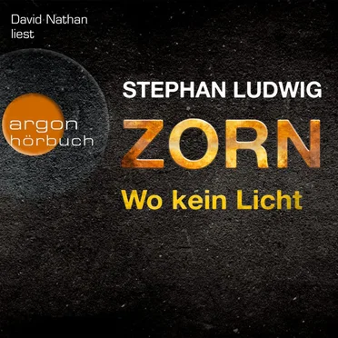 Zorn: Wo kein Licht by Stephan Ludwig - album cover