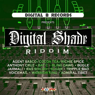 Digital Shade Riddim by Various Artists - album cover