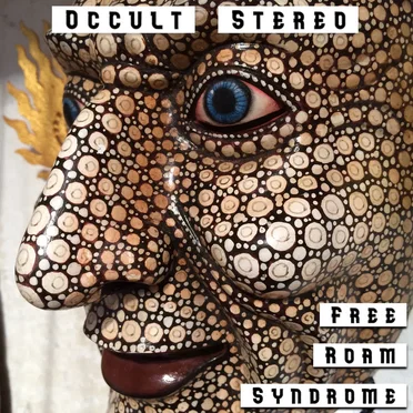 Free Roam Syndrome (b/w Zero Sum)