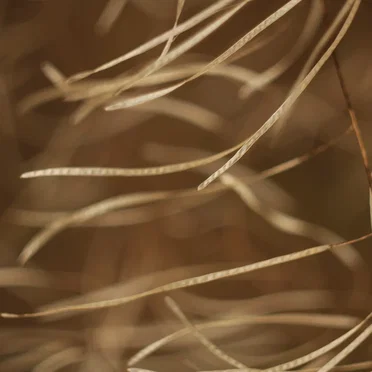 Улетела к свету.