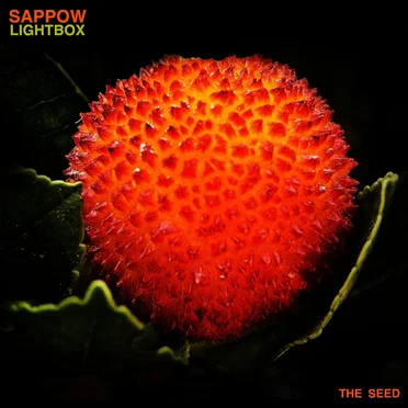 Lightbox by Sappow - album cover