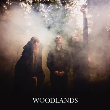 WOODLANDS by WOODLANDS - album cover