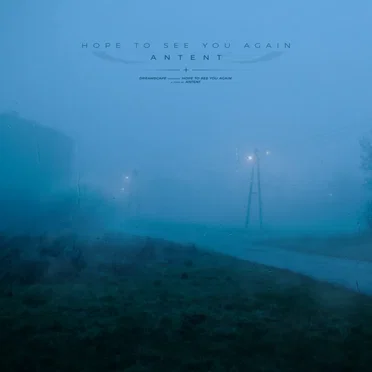 hope to see you again (remixes)