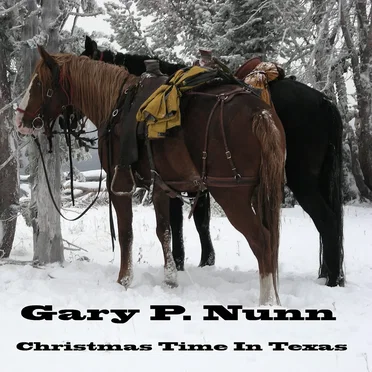 Christmas Time in Texas
