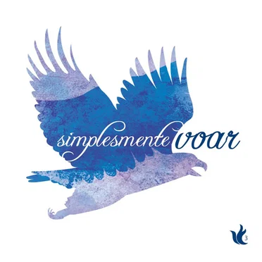 Simplesmente Voar by Ministério Zoe - album cover