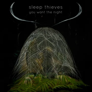 You Want the Night by Sleep Thieves - album cover
