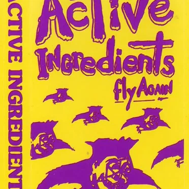 Fly Again