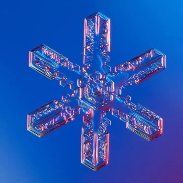 M a g e l l a n