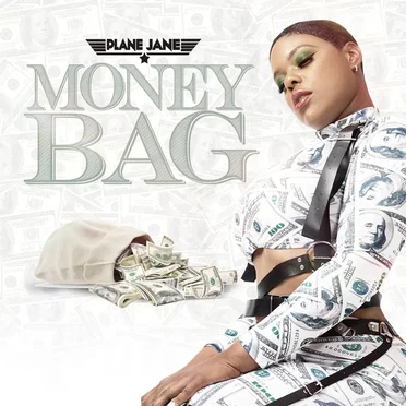 Money Bag by Plane Jane - album cover