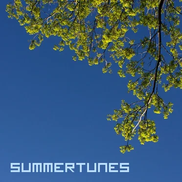 Summertunes by Various Artists - album cover