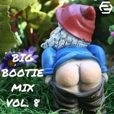Big Bootie Mix, Volume 8