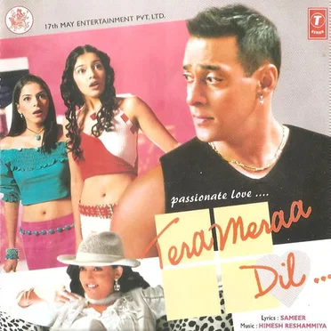 Tera Meraa Dil…