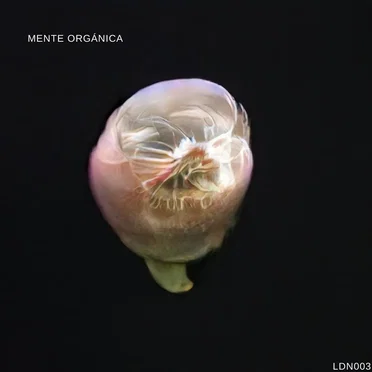 Mente Orgánica