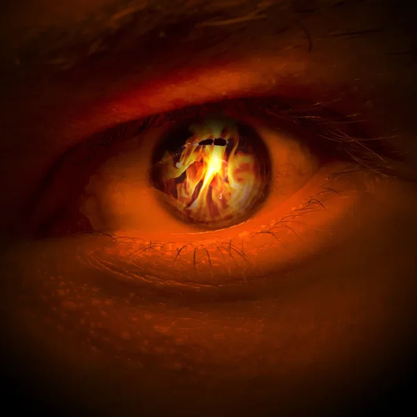 Fera Tenebris