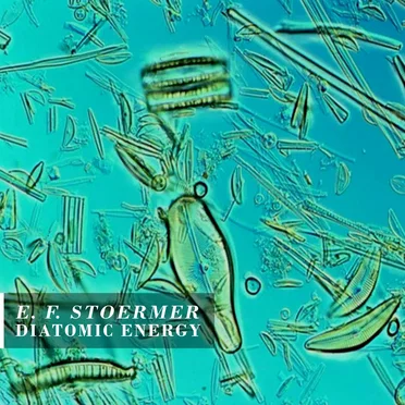 Diatomic Energy by E. F. Stoermer - album cover