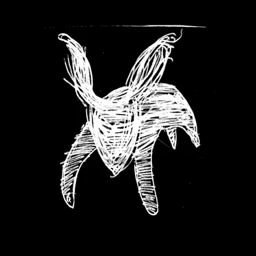 The Wide Patrols by Woundwort - album cover