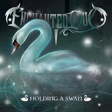 Holding a Swan by Enchanted Duo - album cover