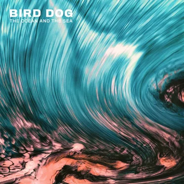 The Ocean and the Sea by Bird Dog - album cover
