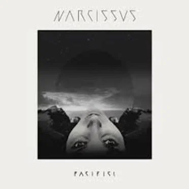 Narcissus