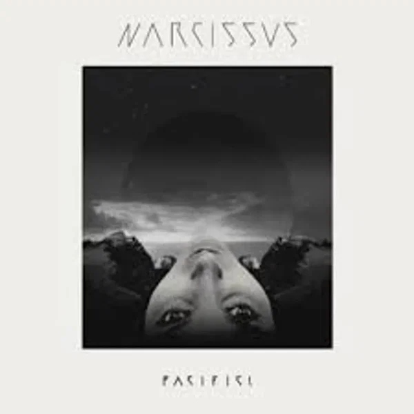 Narcissus