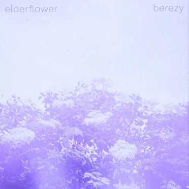 Elderflower