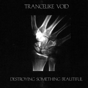 Destroying Something Beautiful by Trancelike Void - album cover