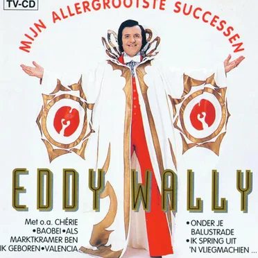 Mijn allergrootste successen