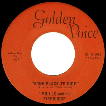 Some Place To Hide by Brillo And The Firebirds - album cover